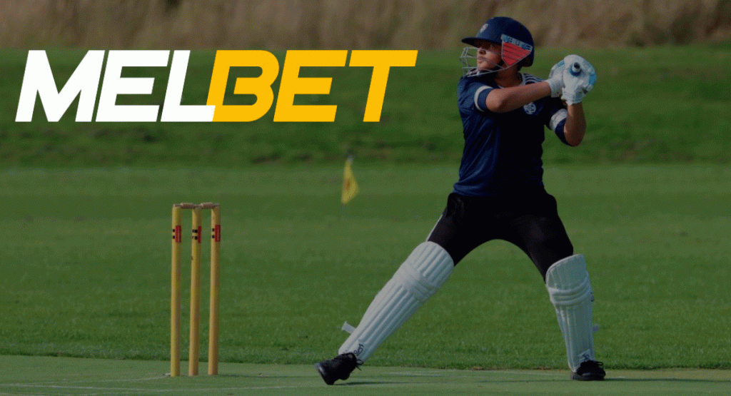 Melbet Cricket betting platform